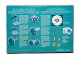 Psychic Power II - Board Game - Premium board game from Le Régénérateur Biomagnétique de Denys Gagnon (RBDG) - Just $99.99! Shop now at Le Régénérateur Biomagnétique de Denys Gagnon (RBDG)