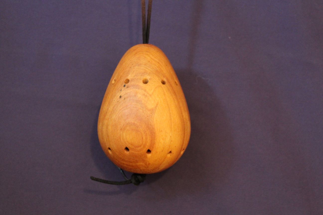 Ovoid Canadian Maple - Pendant / Purifier - Premium  from Le Régénérateur Biomagnétique de Denys Gagnon (RBDG) - Just $15! Shop now at Le Régénérateur Biomagnétique de Denys Gagnon (RBDG)